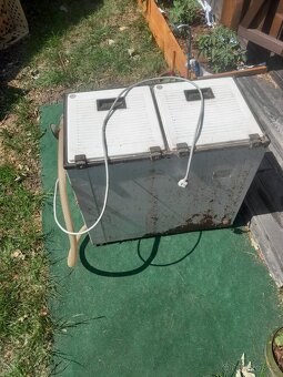 Szare ptscky - 4
