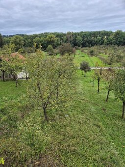 Zahrada ve lhotské Staré hoře - 4