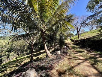 LOT 10 Bodden Bight Estate, Roatan - 4