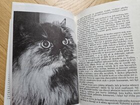 Kniha Kočky, kocouři a koťata - 4