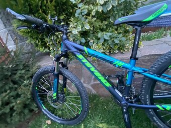 KOLO STEVENS TEAM RC 24 SHINY PETROL - 12.5" - 4