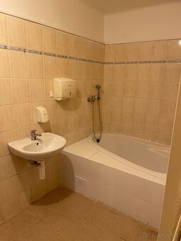 Pronájem bytu 1+1 v Dolanech - 4