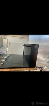 Mořské akvárium - 4