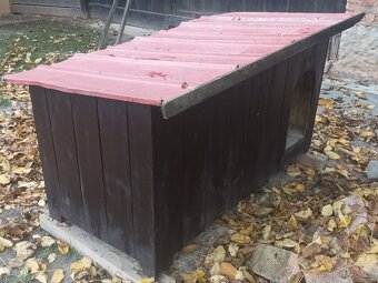 Bouda pro psa, psí bouda - 4