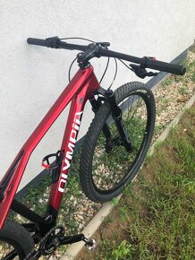 Olympia Iron PRO size M - 4