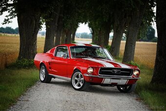 1967 Ford Mustang Fastback - 4