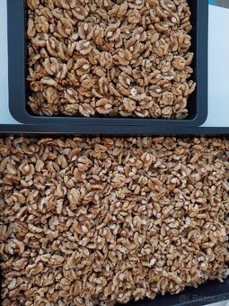 Vlašské ořechy - vyloupané - 4