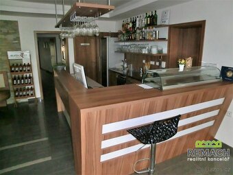 Pronájem,Penzion, Restaurace,Vinný sklep - Blatnička - 4