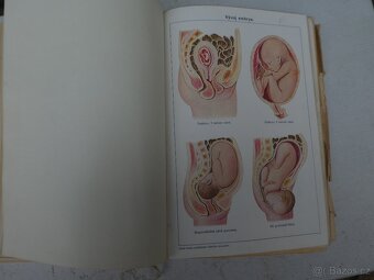 Stará lékařská kniha - 4