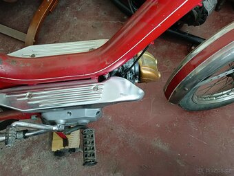 Moped cimatti Piper minarelli - 4