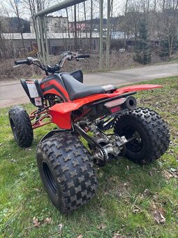 Yamaha Raptor 250 - 4