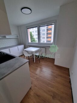 Pronajmu bytovou jednotku 2+1 po celkové a velmi vkusné reko - 4