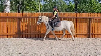 Dva WPB pony - 4