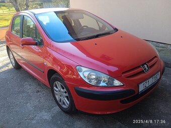 Peugeot 307 - 4
