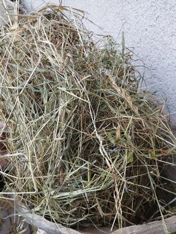 Seno, ručně sušené, pytlované - 4