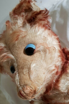 Vzácný medvídek Steiff, Petsy 50cm, modrý, s mhouřícíma očim - 4