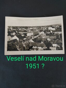 černobílé foto - 4