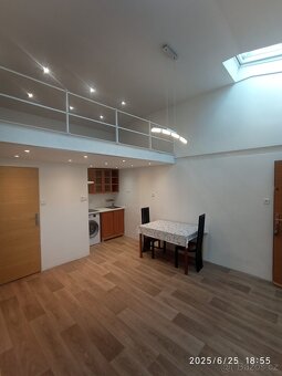 BEZ PROVIZE RK. Pronajmu atelier 1kk se zahrádkou Praha 10 - 4