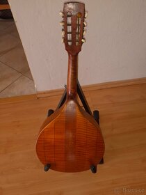 Kytary a mandolina - 4