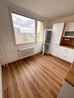 Pronájem bytu 2+1, 64 m2, Ústí n.L-Severní Terasa, ul. Pod P - 4