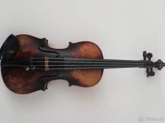 Viola - 4