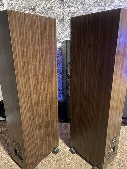 Indiana Line Tesi 6 - 4