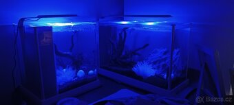 Bílé  designové akvarium fluval - 4