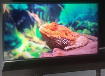 Tv SMART CHiQ 139cm UHD 4K WiFi YouTube - 4