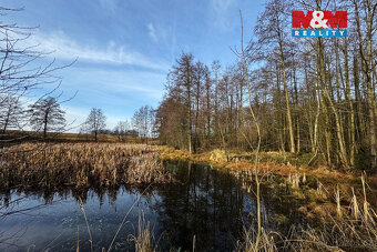 Prodej pozemků s rybníkem ve Velké Losenici - 4