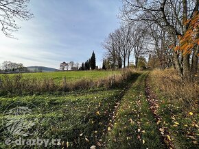 Prodej podílu 1/4 pozemky - trvalý travní porost, 23 310 m2  - 4