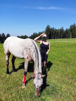 Mimořádná Appaloosa klisna 90%FPD - 4