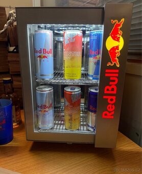 REDBULL LEDNICE - 4