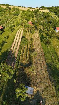 Strážnice - Pozemek s chatou a vinicí, krásné výhledy - 4