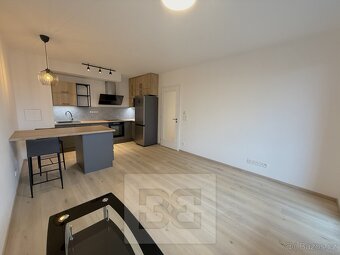 Pronájem bytu 2+kk, 46 m² - Praha - Žižkov, ev.č. N08554 - 4