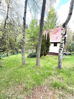 Chata s výhledem na německou přehradu – Český Jiřetín - 4