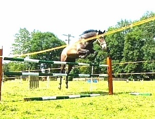 Valach 3roky - 4