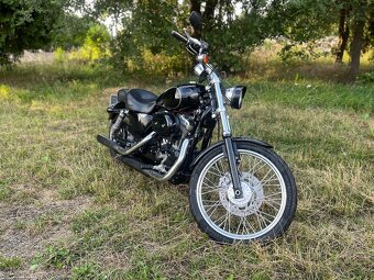 Harley Davidson Sportster 1200 Custom 105th Anniversar - 4