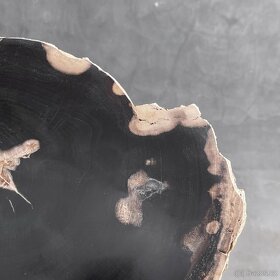 Zkamenělé dřevo na stojanu, 3.7kg - 4