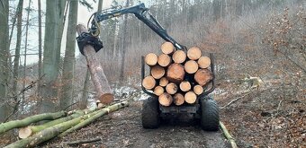 Vyvážecí vlek Palms 12T - 4