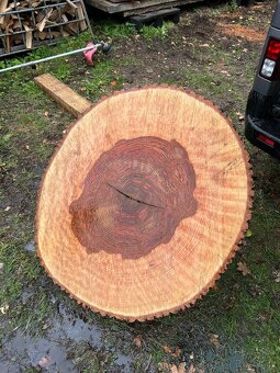 Jasanové koláče - 4