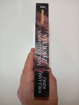 Warhammer: Malekithova zhouba - William King - 4