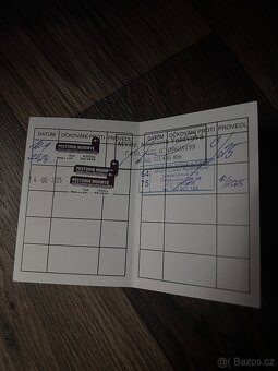 Beránek rex samice - 4