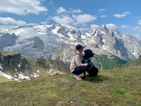 Krycí pes Cane Corso s PP - 4