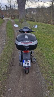 Aprilia Scarabeo - 4