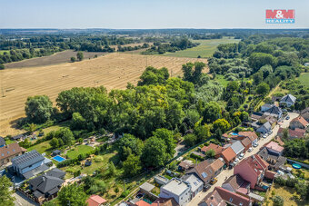 Prodej lesa, 10056 m², Kostelec nad Labem - 4