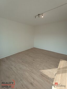 Pronájem, byty/1+1, 21 m2, K. H. Borovského 138/19, 43401 Mo - 4