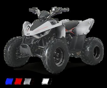 dětská čtyřkolka Linhai ATV 110 2x4 - 4