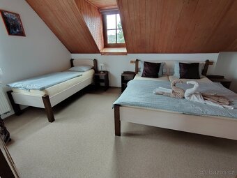 Apartmány s bazénem Jižní Čechy, klidná poloha u lesa. - 4