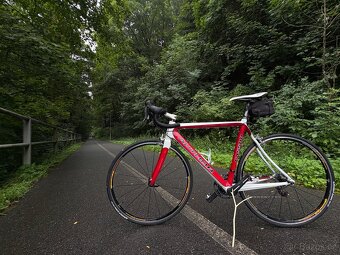 CARBON-7,9kg - 4