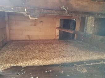 Kurník pro slepice + plech. trusník - 4